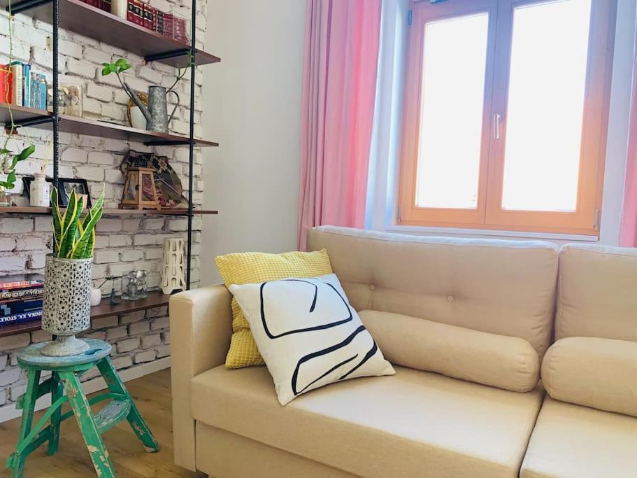 Simona'S Old Town Home / Free Parking Lubiana Esterno foto